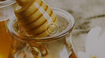 banner2.jpg